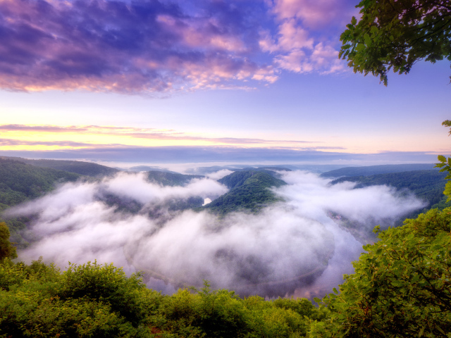 Река в тумане