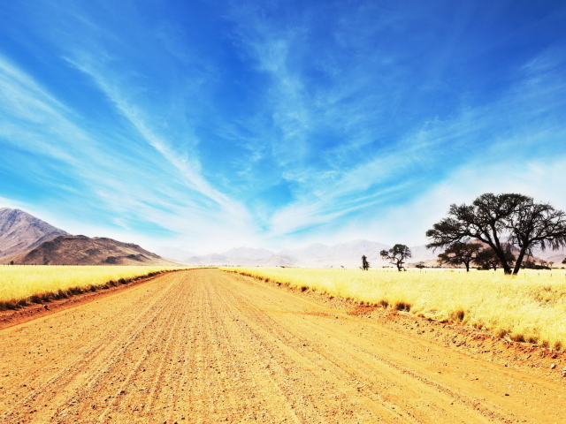 Дорога в саванне