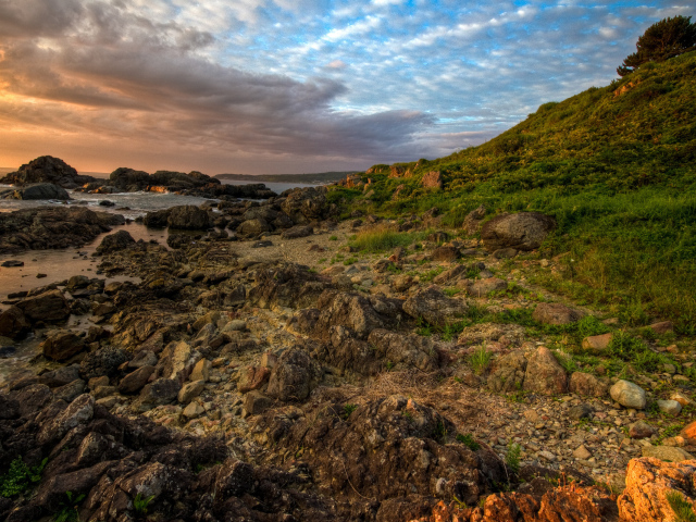 Каменистый берег