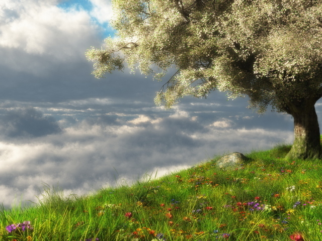 Весеннее цветение