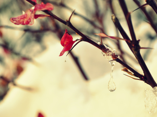 Замерзшая капля