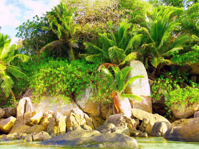 Природа тропиков