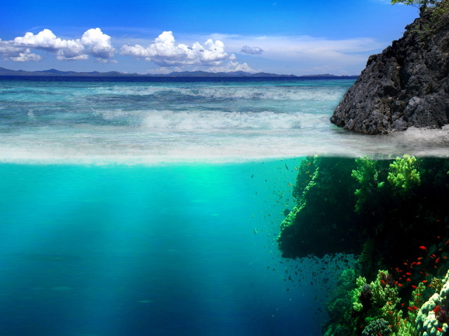 Подводный мир