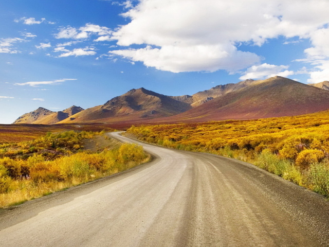 Извилистая дорога