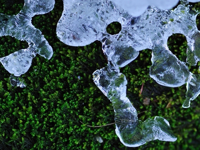 Трава и лед