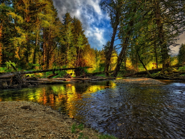 Лесная речка