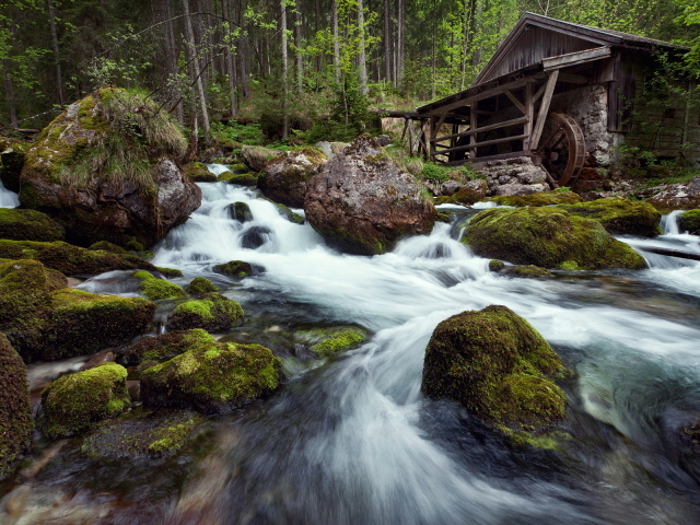 Лесная речка