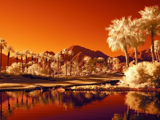 Последний закат