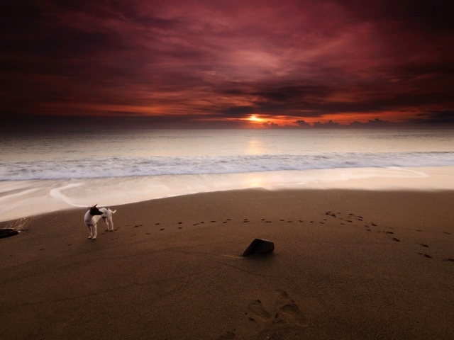 Фото Вечер на морском берегу