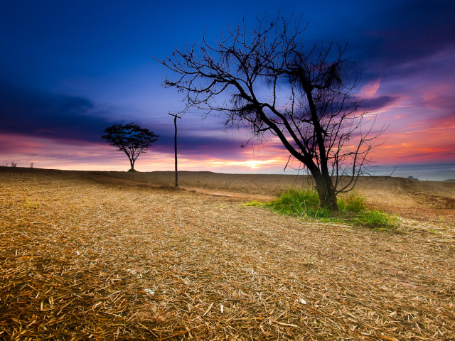Закат в поле
