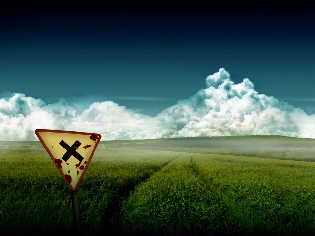 Зеленое поле