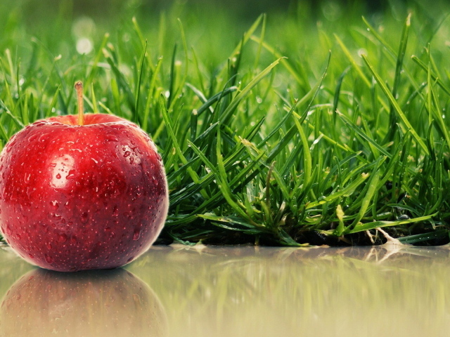 Сладкое яблочко