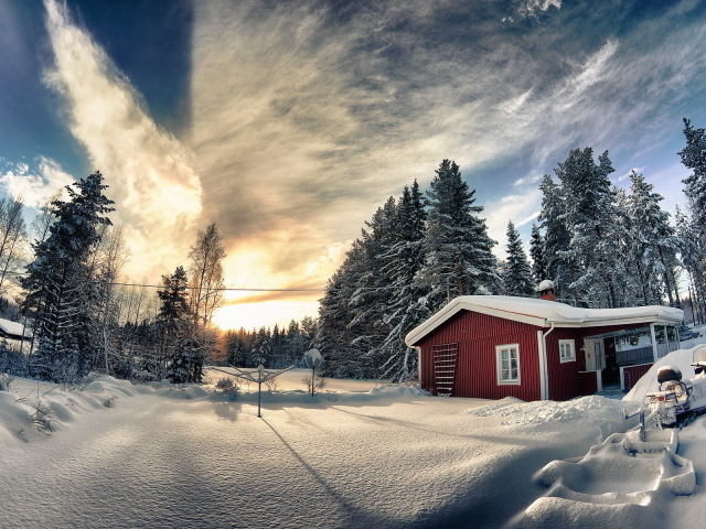 В зимнем лесу