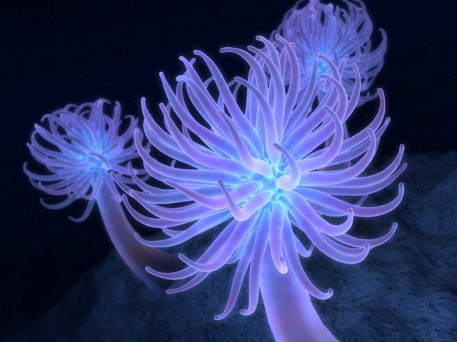 обои на рабочий стол 3D