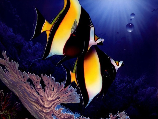 Две полосатые рыбы