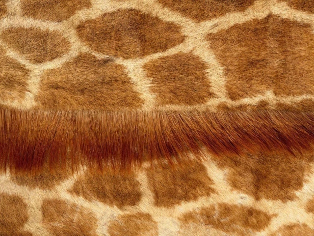 Кожа жирафа