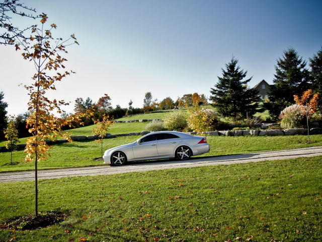 Mercedes Benz CLS на природе