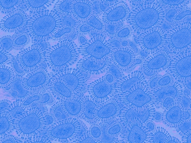 Вирусный фон