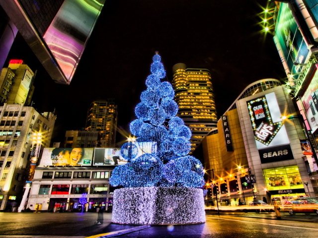 Городская елка на Рождество