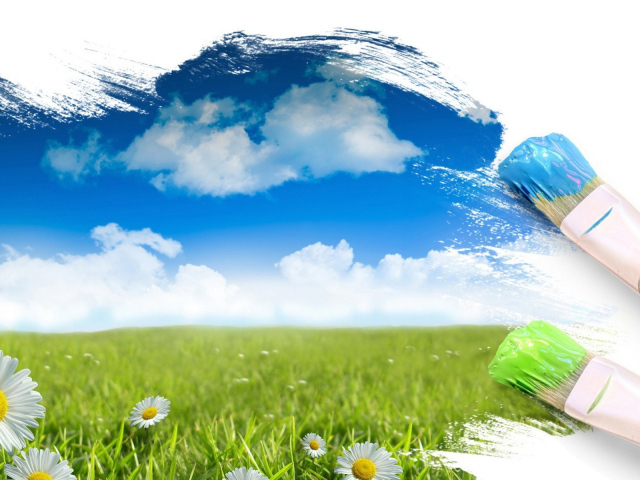 Красочный мир