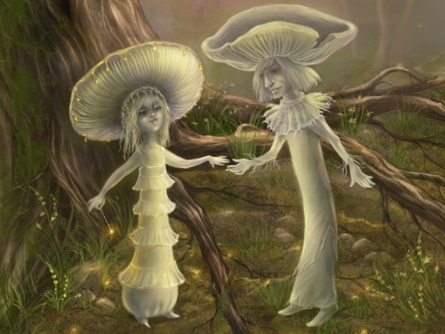 Волшебные грибы