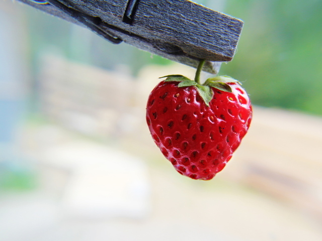 Ягода на прищепке
