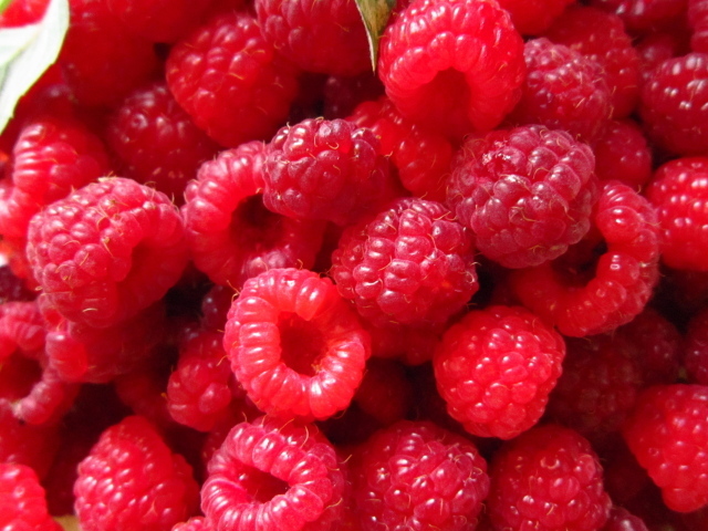 Спелая малина