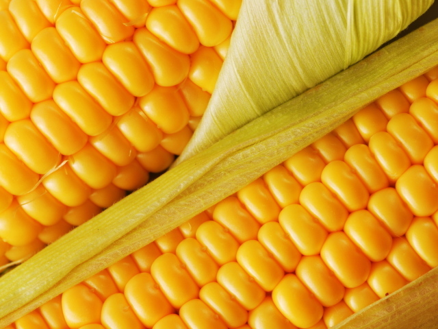 Сочная кукуруза