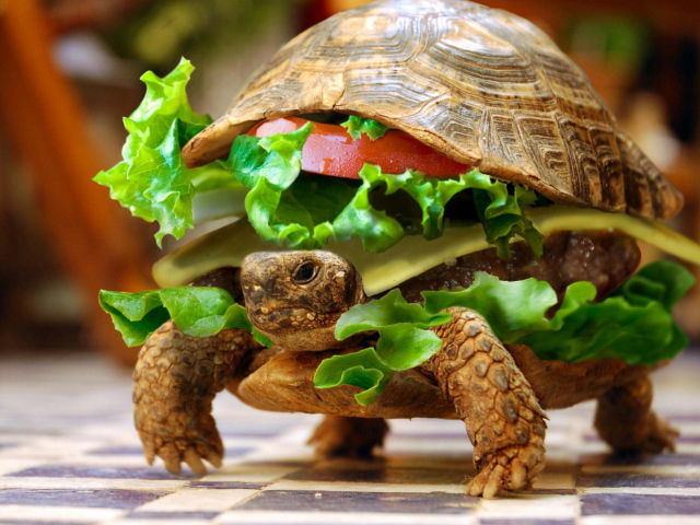 Вкусная черепаха