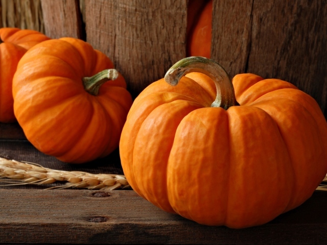 Большие тыквы