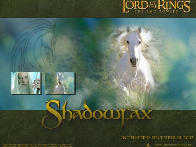 Властелин колец