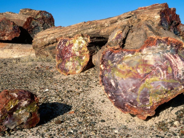 Древняя порода