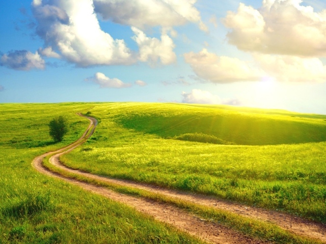 Солнечный день