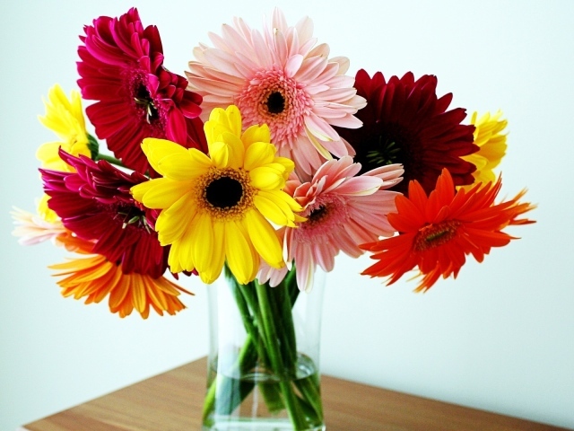 Герберы в вазе