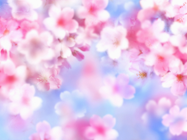 Розовые цветочки