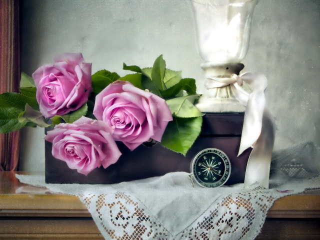 Лиловые розы