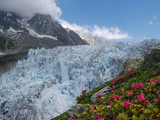 Ледник в горах