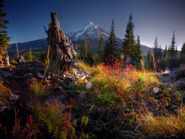 Гора на горизонте