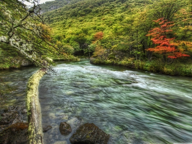 Быстрая горная речка