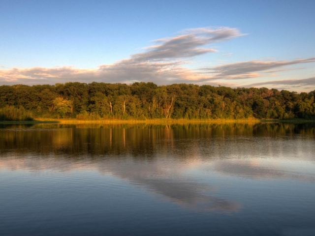 Озеро у леса