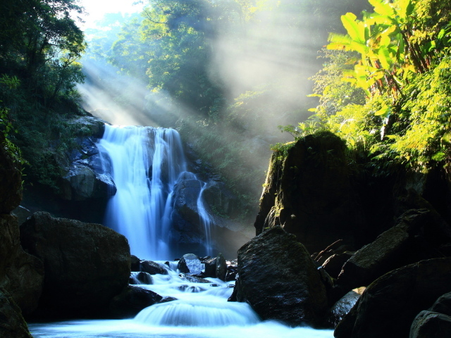 Речка в лесу