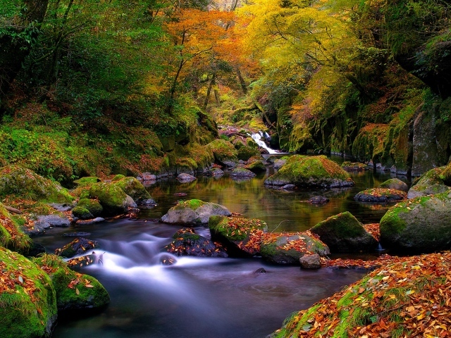 Осенняя река