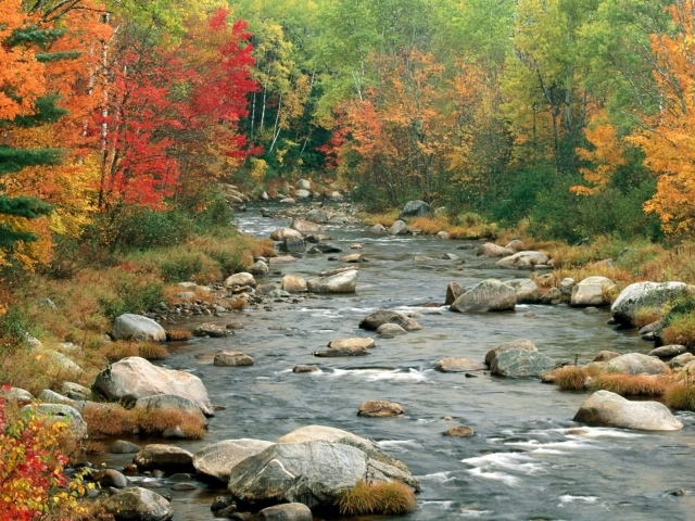 Красивая река осенью
