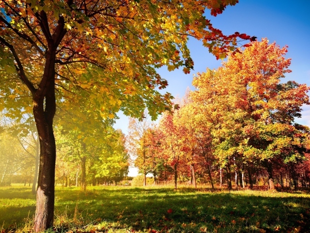 Красочный осенний пейзаж