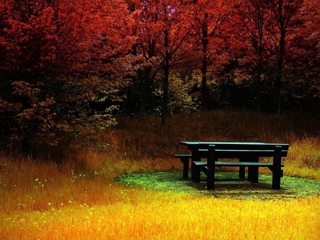 Отдых в осеннем лесу