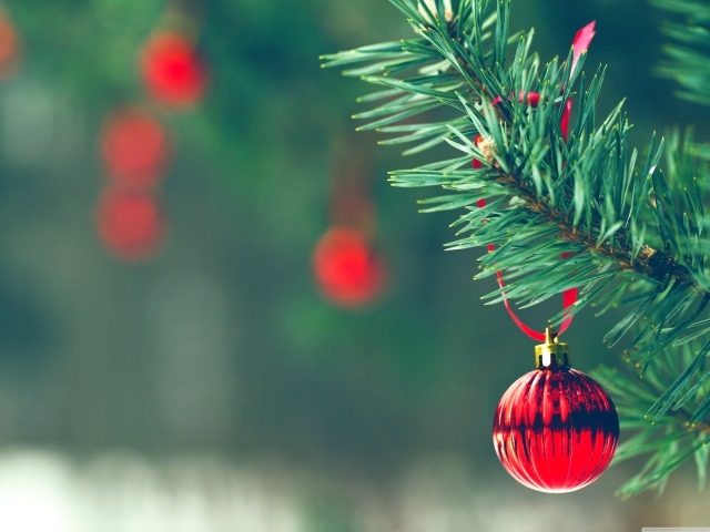 Красный шар на елке