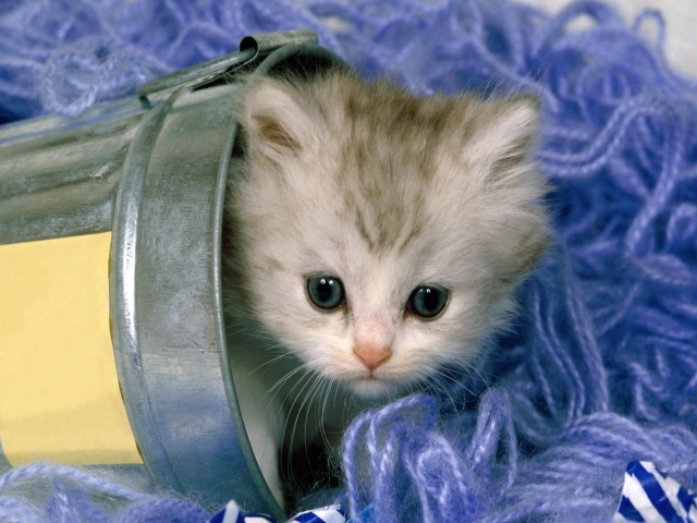 Котенок в нитках