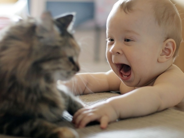 Кот и ребёнок, первая встреча