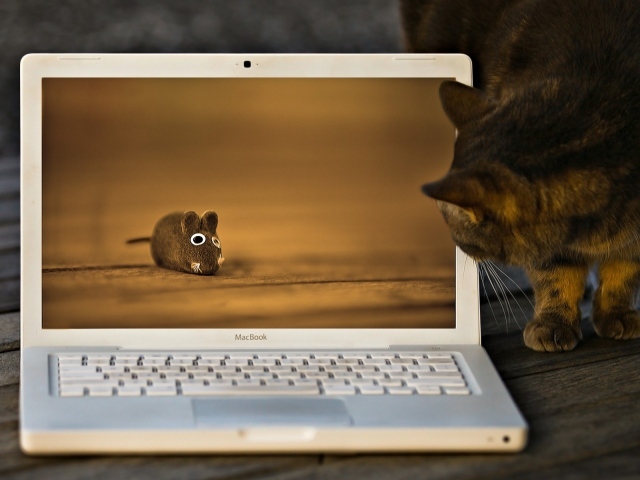 Кот и мышь на экране лэптопа