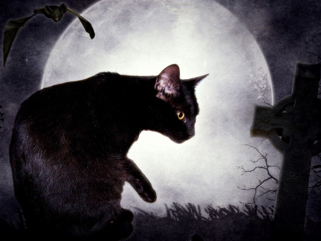 Черная кошка и луна